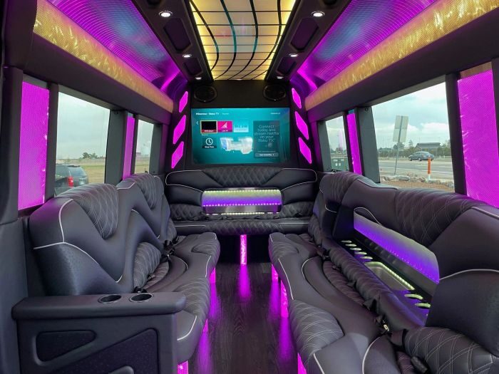 Sprinter limo lounge with TV – Arvada party bus rental