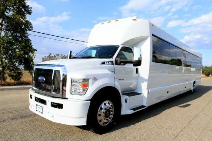 White party bus – Arvada party bus rental