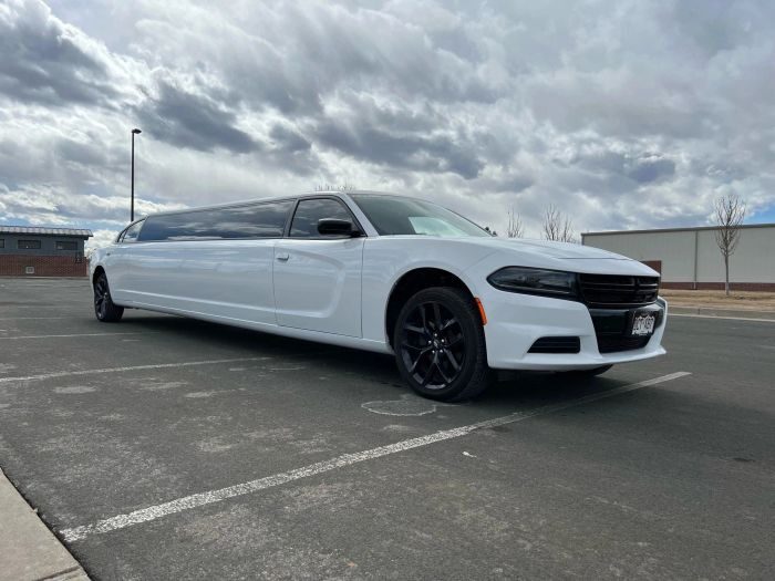 White stretch limo – Arvada party bus rental